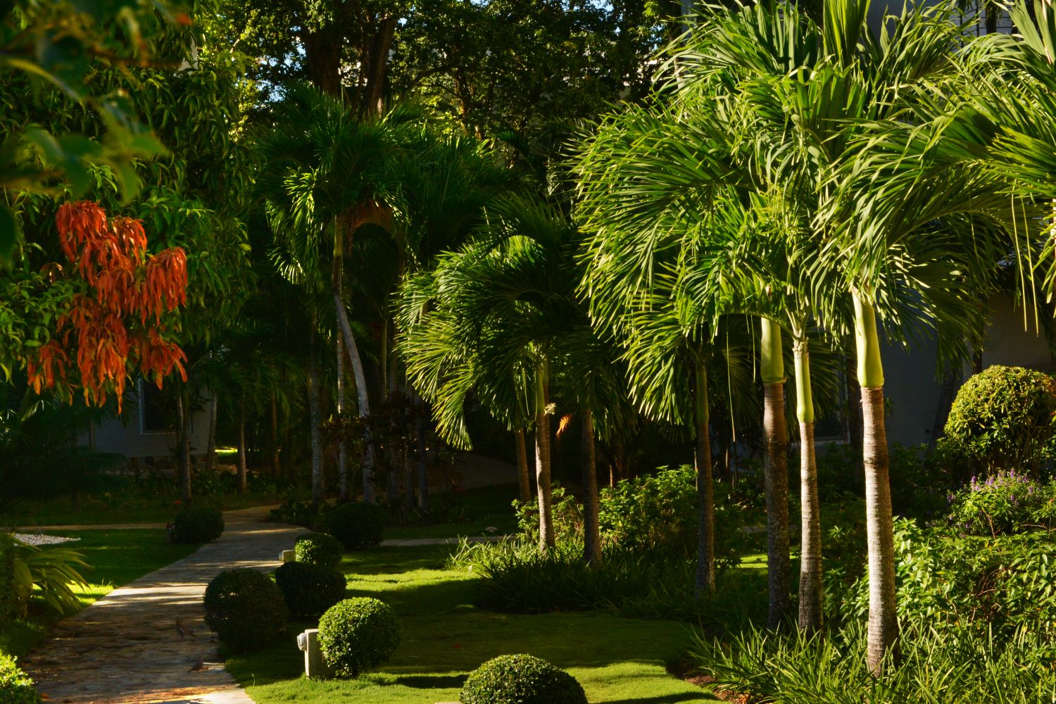 Infiniti Blu — Tropical gardens